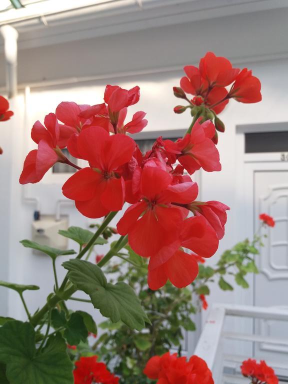 Levendula Apartmen Hévíz المظهر الخارجي الصورة